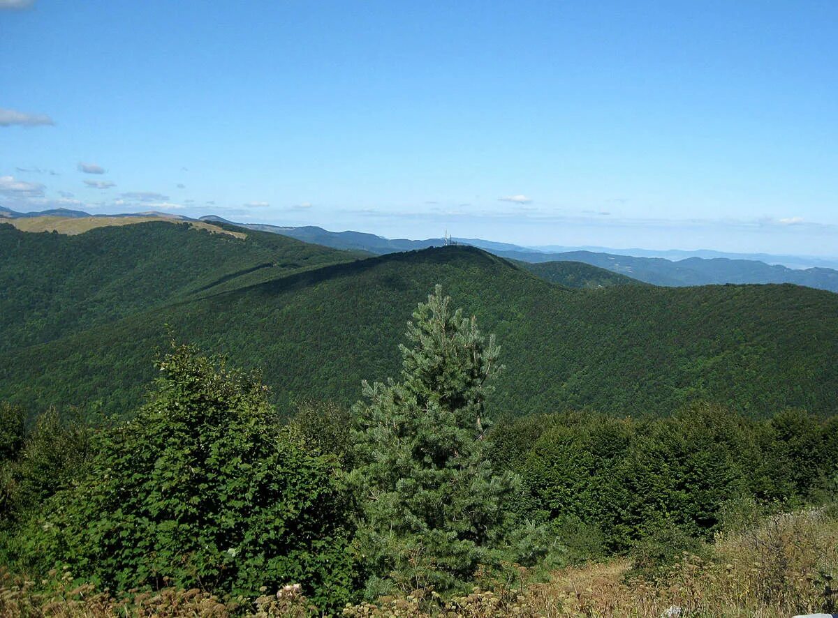 Люба гора. Люба горулина. Люба гора. Хребты кавказа являются. Люба гора.