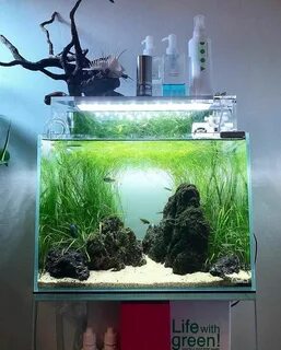 Протечки аквариумов