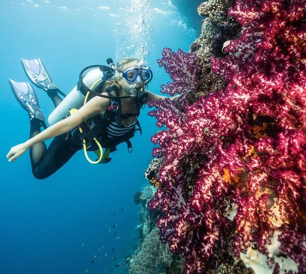 Go diving. Go diving. Фуджейра снорклинг. Красивые места для дайвинга. Раджа ампат дайвинг.