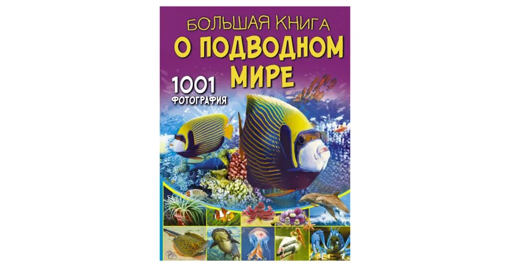 Цикл 1001 мир. Ликсо большая книга о подводном мире. большая книга о космосе. 1001 фотография в.в. ликсо картинки. 978-5-17-135268-4 хомич е. о. подводный мир. 101 видео и 1001 фотография.