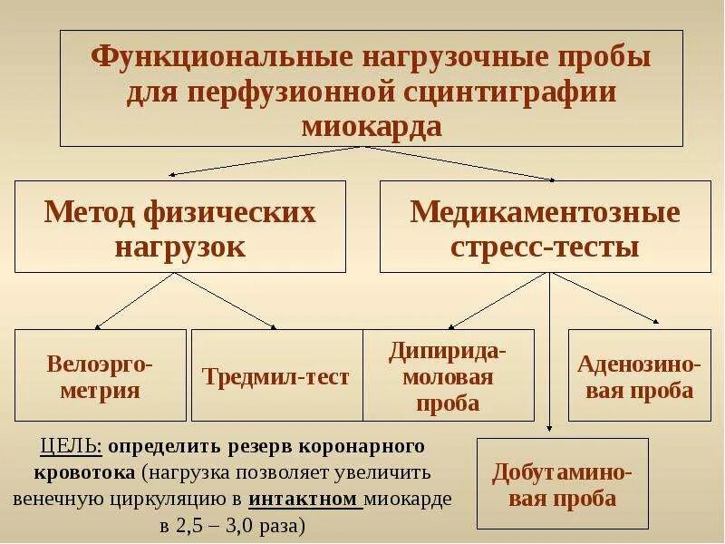 Проба с физической нагрузкой экг. Пробы по характеру выполнения нагрузки. Нагрузочные функциональные пробы. Функциональные пробы в кардиологии. Противопоказания к проведению нагрузочных проб.