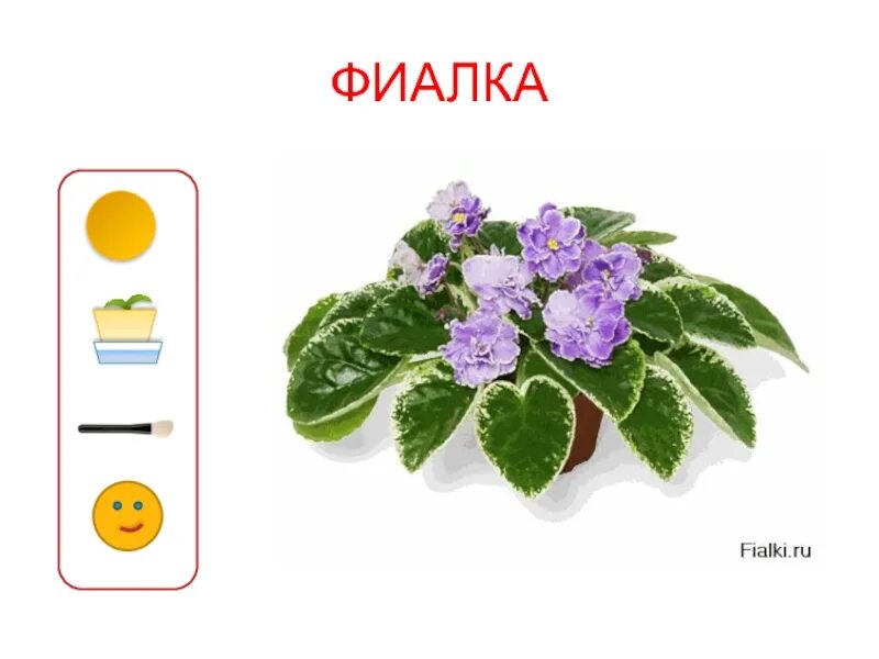 Маркировка цветов в доу