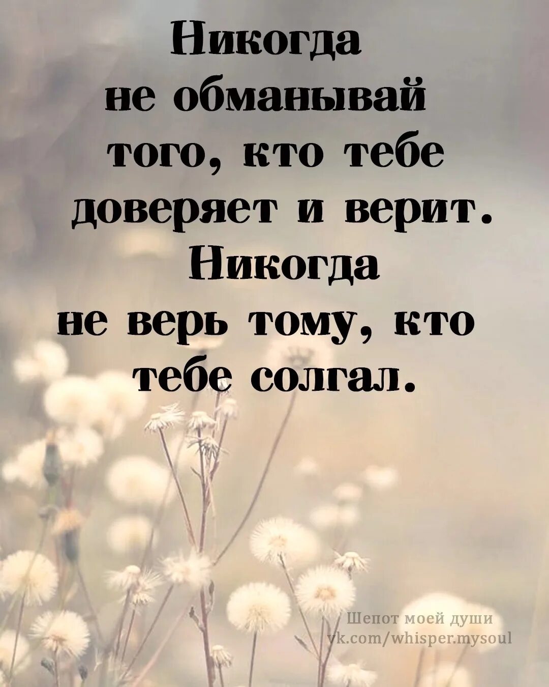 Человек который действительно любит. Шепот моей души. Время для звонков по этикету. Во время сказанные слова. Жизнь коротка.