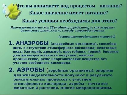 Организм способный жить только при отсутствии кислорода
