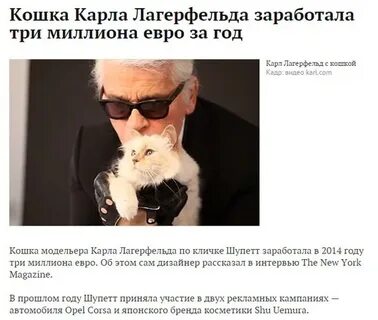 Сколько зарабатывает кошек