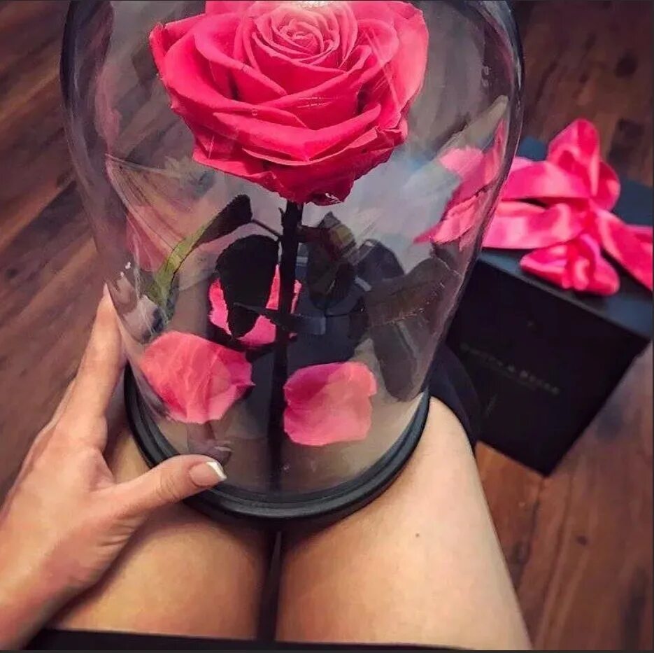 Цветы в колбе. Цветы в стеклянной колбе. Девушка с розой в руках. Сколько стоят живые розы