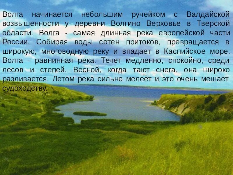 Так начинает волга самая большая река. Валдайская возвышенность Волга. Валдайская возвышенность Исток Волги. Река Волга начинается. Валдайская возвышенность начало Волги.