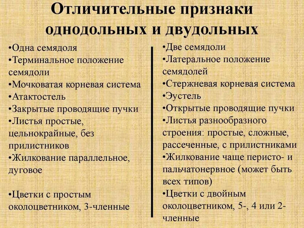 Признаки отличающие однодольные от двудольных. Отличительные особенности однодольных и двудольных растений. Характерные признаки однодольных и двудольных. Отличительные особенности однодольных. Характерные признаки классов двудольные и Однодольные растения.