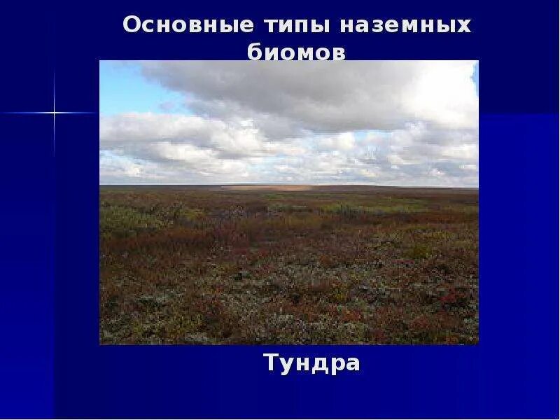 Понятие биом. Биом определение. Особенности биома. Наземные биомы. Основные биомы суши.