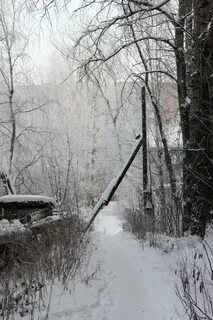 Погода в сыктывкаре в ноябре