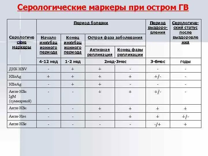 Серологические маркеры. Серологические маркеры инфекций. Серологическая маркеры осторого гепатита в. Серологические маркеры вирусной инфекции. Серонегативное окно при вич