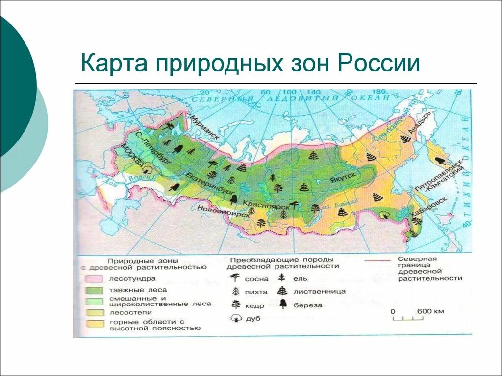 Зона тайги смешанных и широколиственных лесов на карте. Зоны тайги смешанных и широколиственных лесов на карте России. Зона широколиственных лесов на карте России. Зона смешанных широколиственно-хвойных лесов на карте.