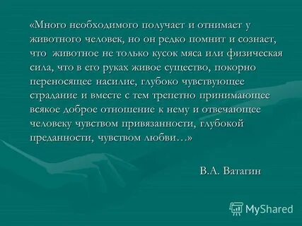 Глубокая преданность