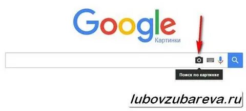 Узнать по фото кто это гугл