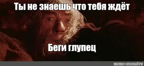 Поверили глупцы другим передают