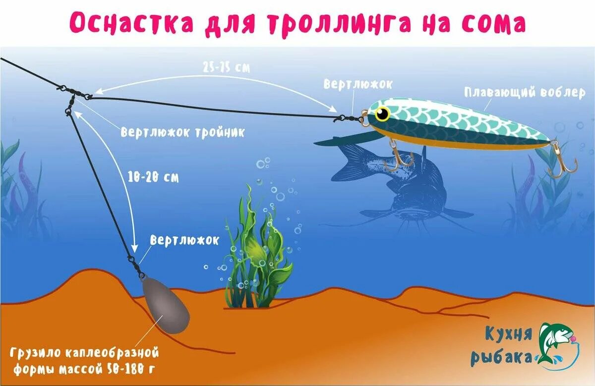 Самая эффективная приманка для ловли хищной рыбы - воблер. На крючке Дзен