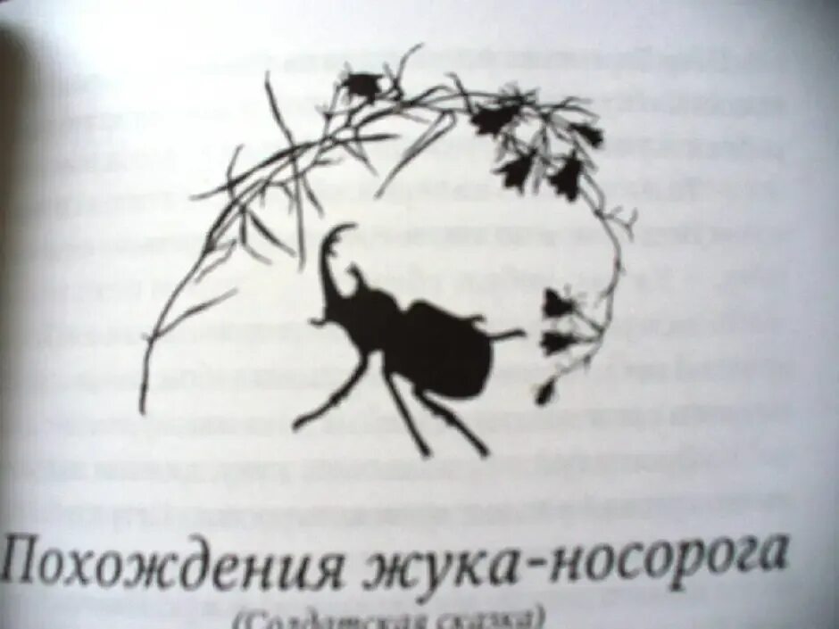 Похождение жука носорога слушать. Паустовский похождения жука носорога. Иллюстрации к книге похождения жука носорога. Похождение жука носорога иллюстрации. Прохождение бука насарога.