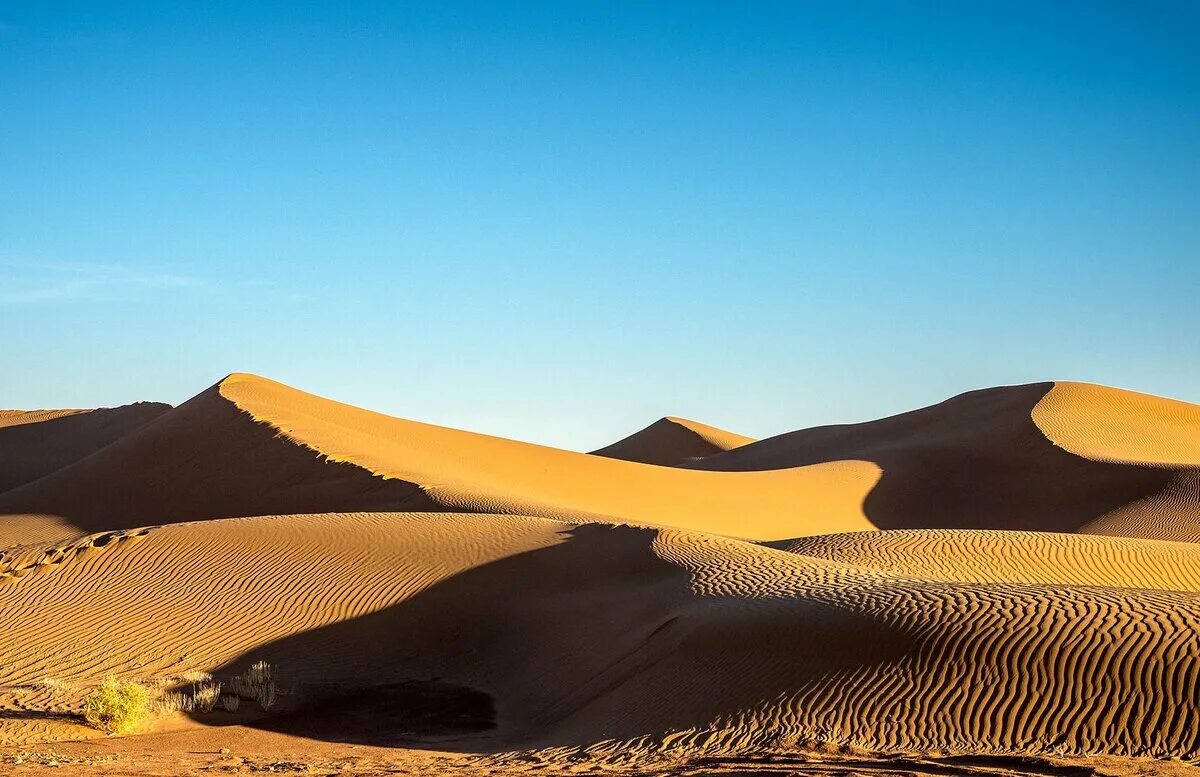 песчаные барханы египта. пейзаж пустыни кызылкум. кин дза дза пустыня. чарские пески забайкальский край. дюны маспаломас.