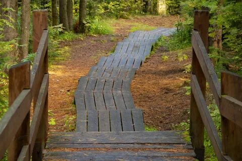 Design paths