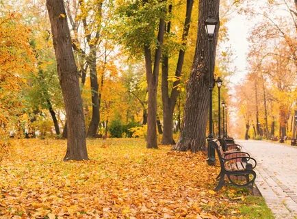 Прогулка осенним парком