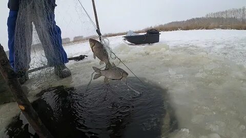 Хапуга зимой видео