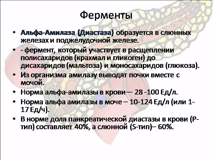 Какие анализы нужны для проверки поджелудочной железы. Альфа-амилаза в моче (диастаза) норма. Норма Альфа амилазы в крови. Альфа амилаза поджелудочной железы. Альфа амилаза в моче норма.