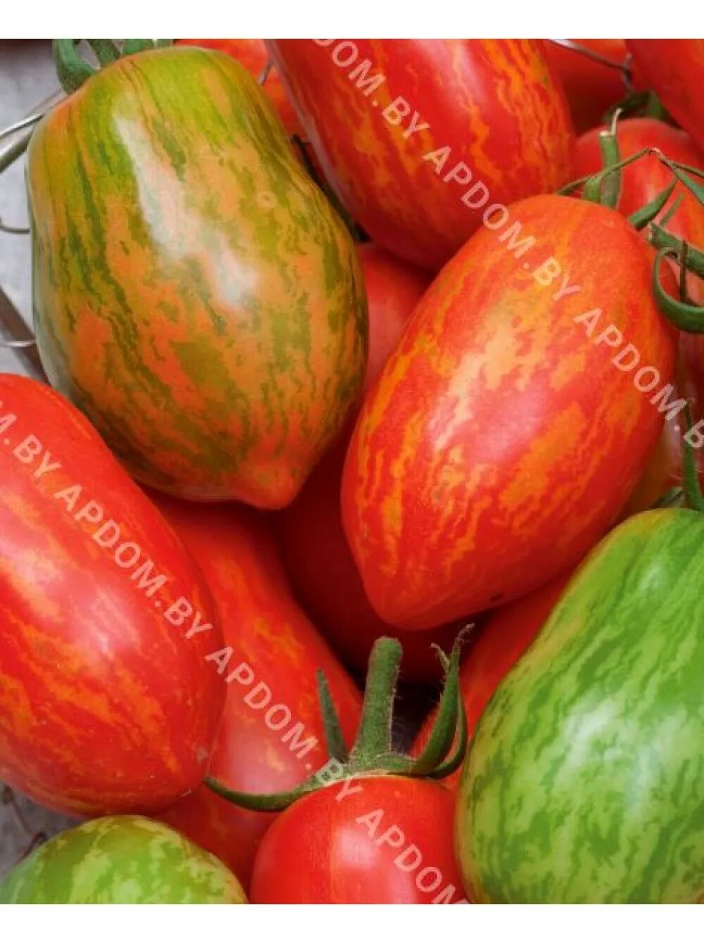 Томат дон жуан 0,1г седек. Сорт томата дон жуан. Томат дон жуан описание. Томат дон жуан. Томат дон жуан описание.