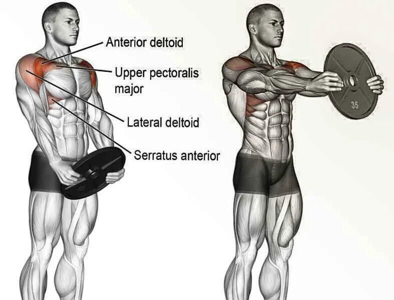 Передняя дельта с гантелями. Тренировка дельт. Прокачка дельт. Поднятие диска перед собой мышцы. Упражнения на дельты в тренажерном зале для мужчин.