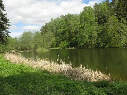 Красногорск деревня