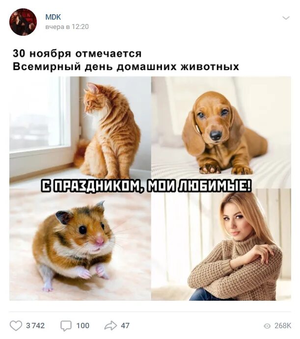 Почему так дешево. Почему дешевле. почему так дёшево. почему дешево. дешевый картинка.