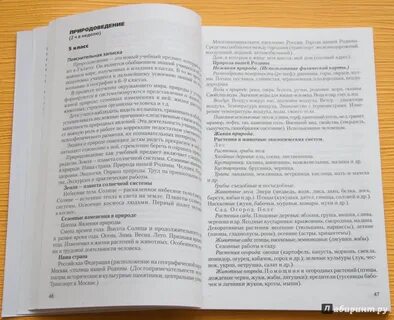 Основы социальной жизни программа 8 вид