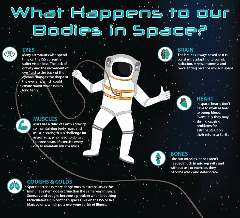 Космический рабочий лист. Astronaut Worksheets for Kids. Space Astronauts Worksheet. Space tasks for Kids. Journey into space 4 grade