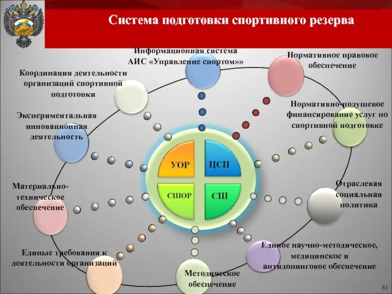 Управление подготовкой спортсмена. Управление системой подготовки спортивного резерва. Информационная система спорт. Система подготовки в спорте. Система управления в спорте.