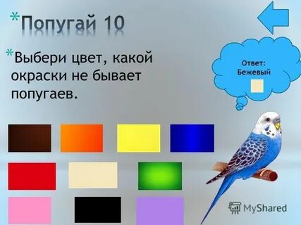 Приобретает окраску