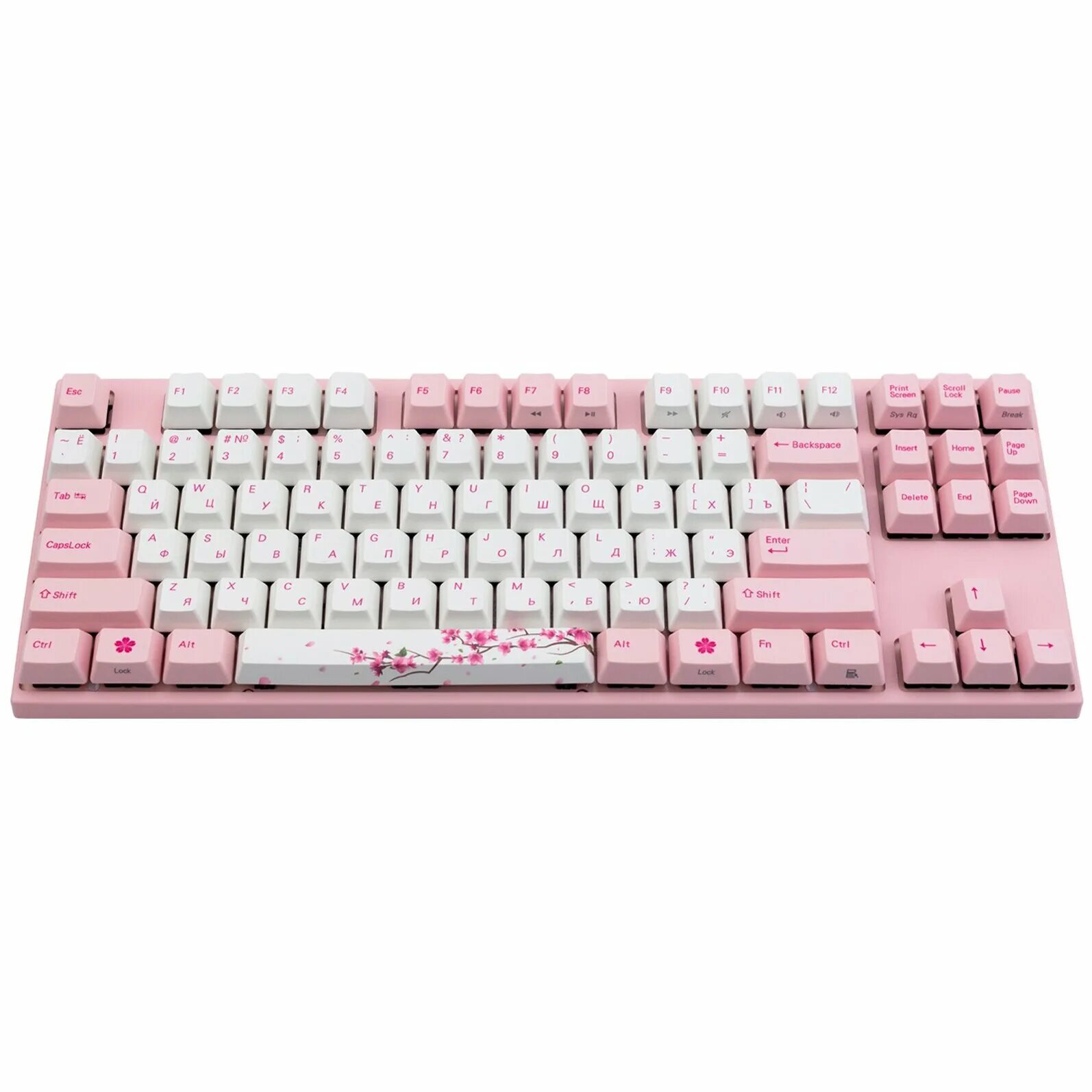 Ec sakura v2