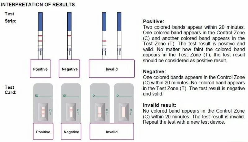 Тесты Rapid Test strip. Тест Rapid Test инструкция. Rapid Test 1 полоска. Экспресс тест на ВИЧ инструкция.