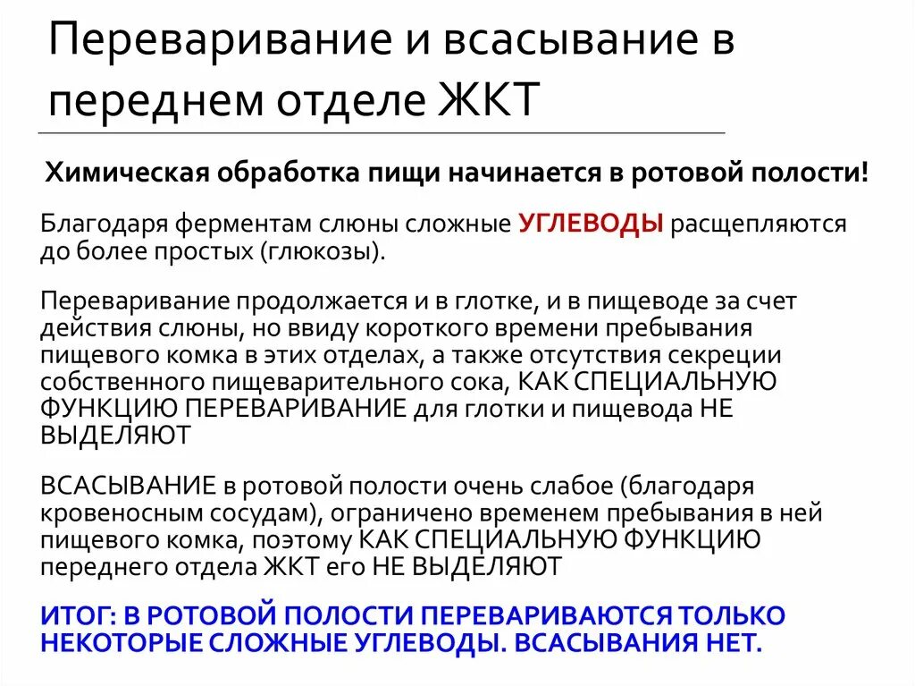 Переваривание и всасывание в ротовой полости. Функции переднего отдела ЖКТ. Всасывание в полости рта. Механизм всасывания в ротовой полости. Какие вещества перевариваются в ротовой полости