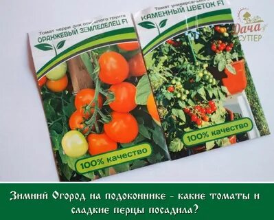 Томат земледелец
