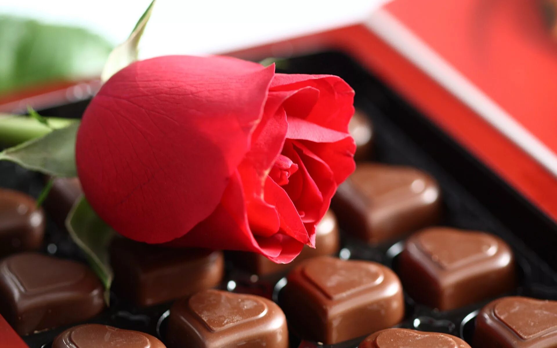 Valentine’s Day! Chocolate covered strawberry recipe, Chocolate strawberries, Ca