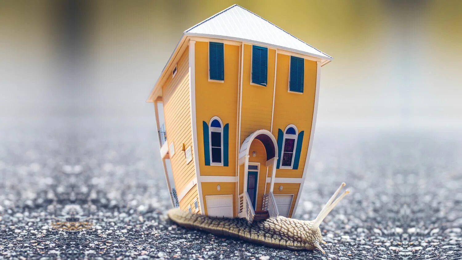 Цитаты про дом. Дом там где цитаты. Цитаты построить дом. Дом фразы цитаты. Афоризмы про дом.