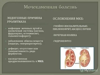 Воспаление почек симптомы и лечение препараты