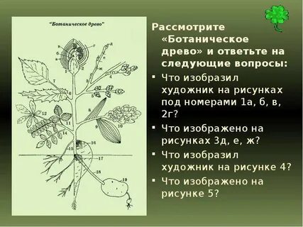 Какое строение считается