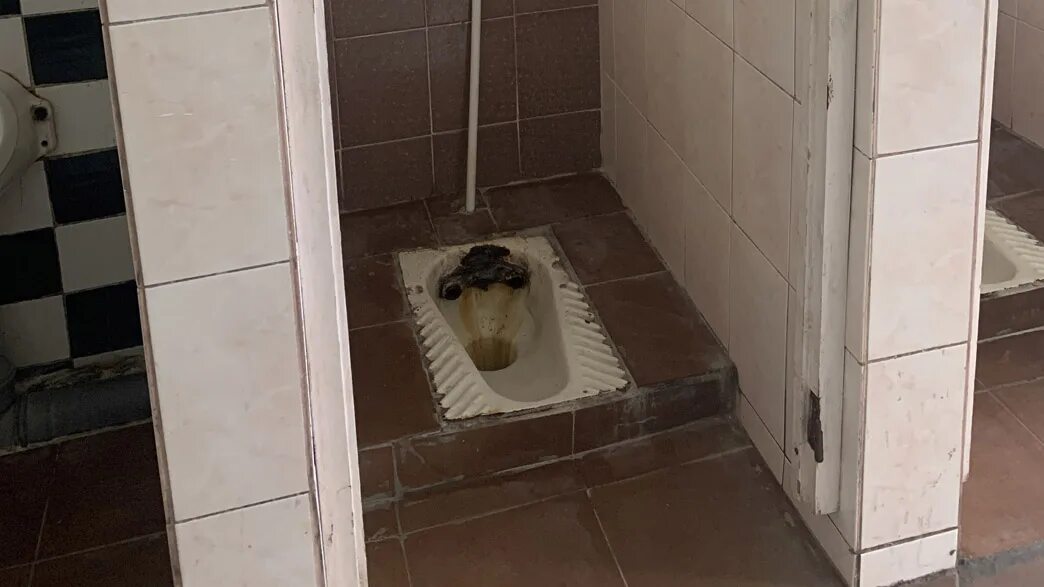 Доместос туалеты в школе. Туалет в школе. Школьный туалет в России конкурс на худший.