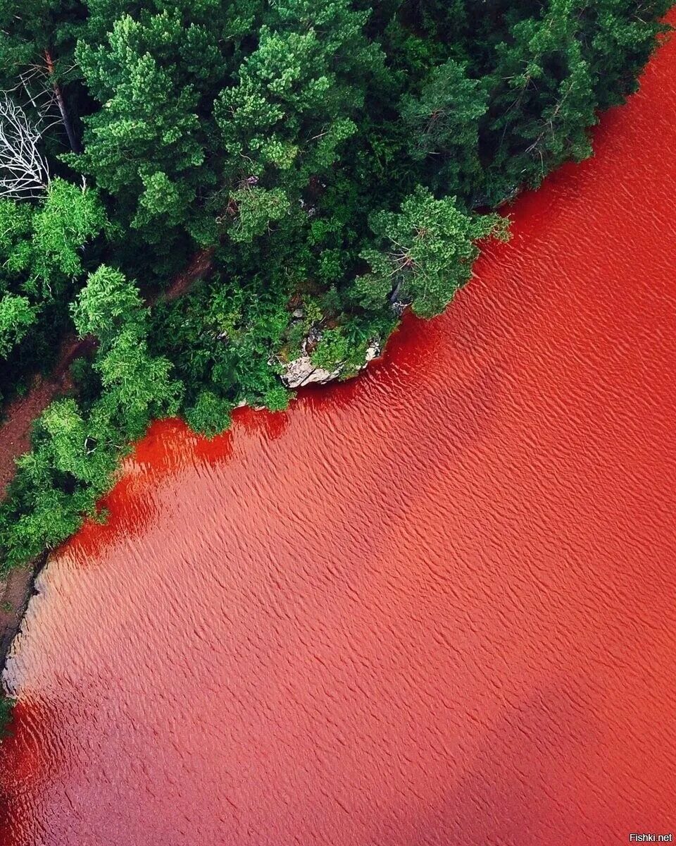 Кровавая река Рио-тинто. Dunaliella Salina озеро. Река Рио тинто. Красное озеро майна.