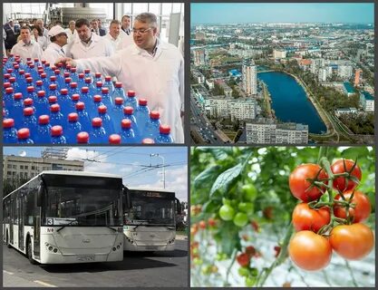 Ростовские эксперты