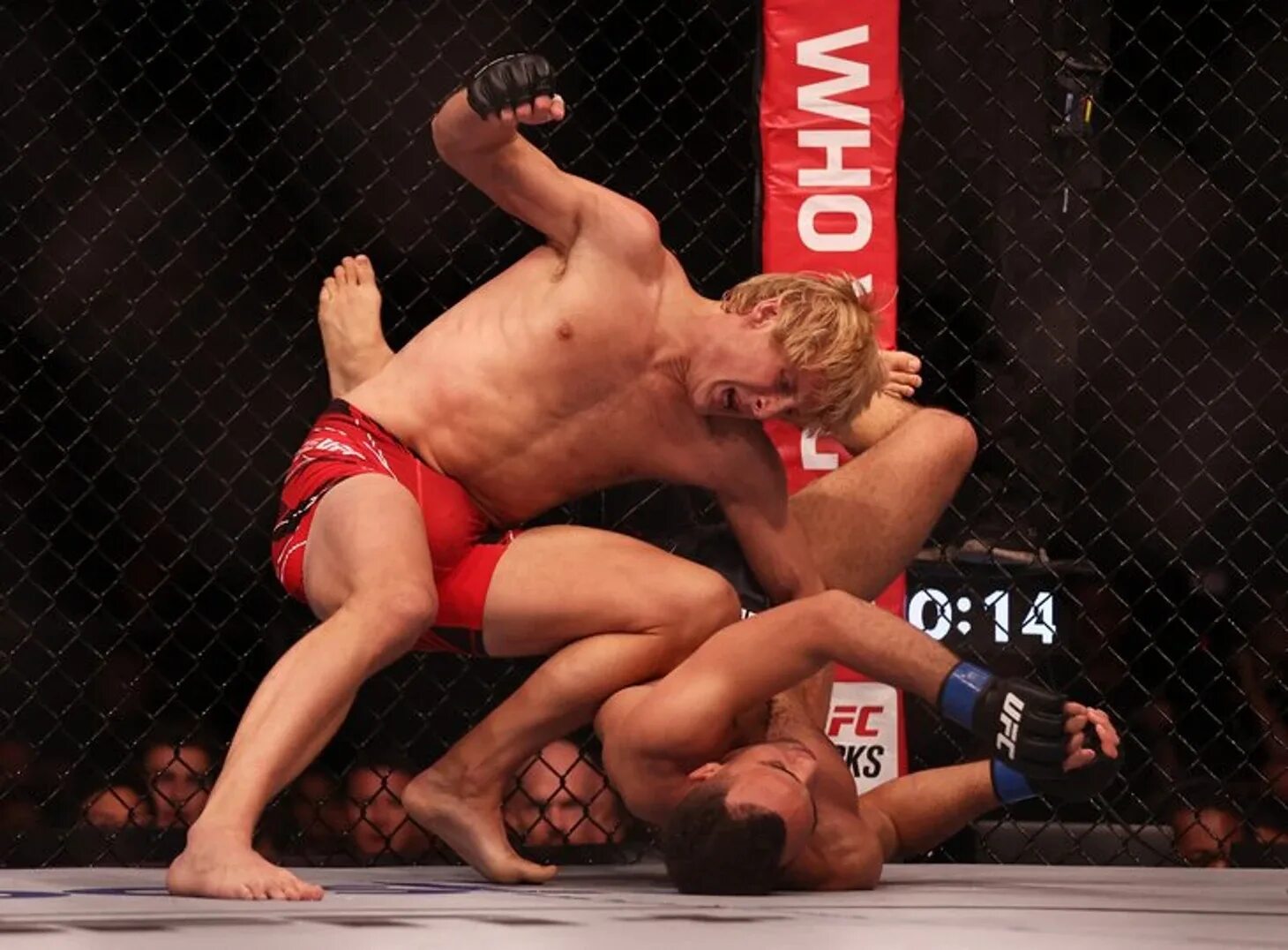 Бой тони фергюсона vs пэдди пимблетт ufc 296. Тони фергюсон пэдди пимблетт. Боец ufc английский пэдди. Бой фергюсона пимблетт. Бой фергюсона пимблетт.