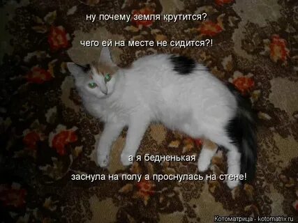 Не сидится мне на месте а зачем