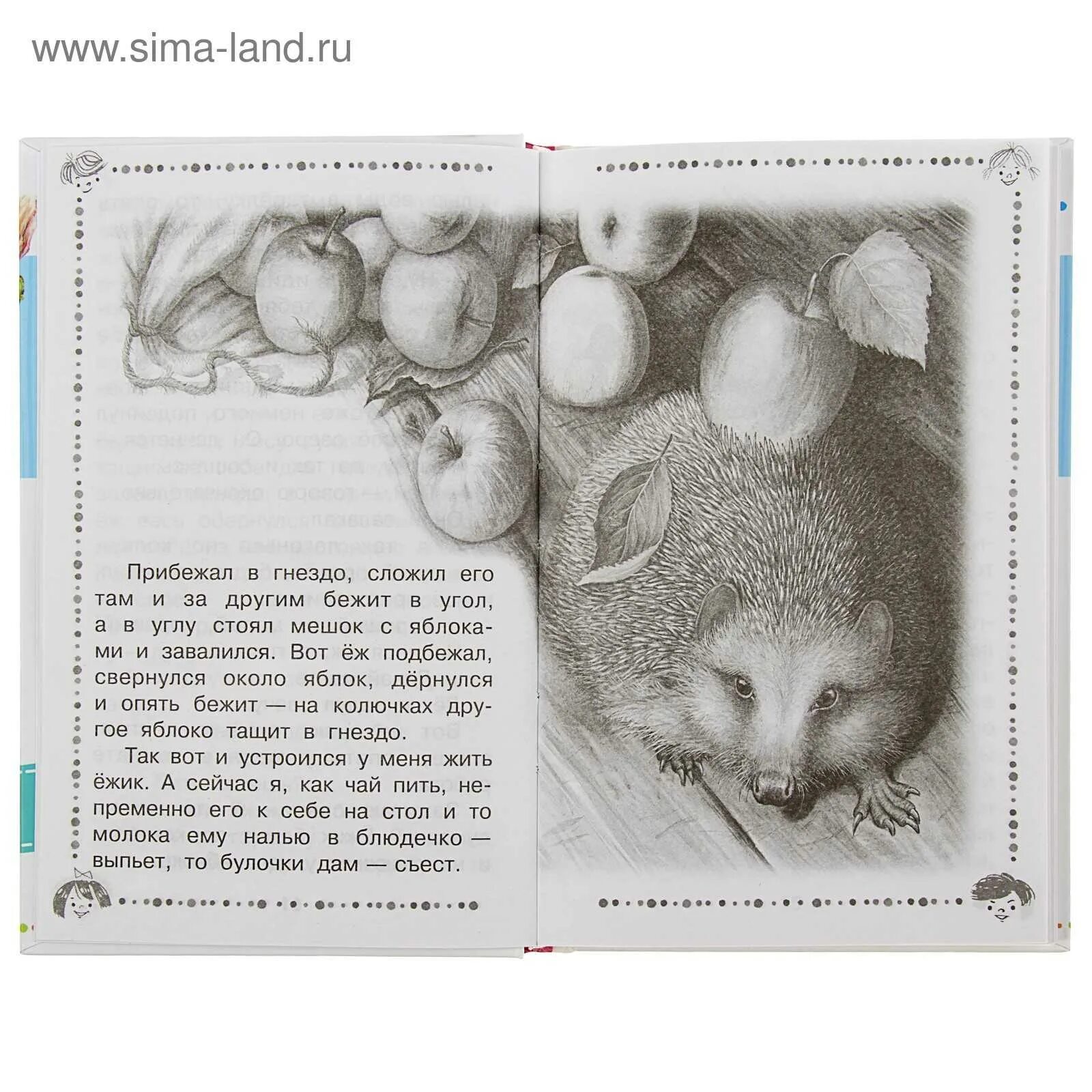 Рассказ пришвина ёж текст. Сочинение про ежика. Бианки ёж. Произведения пришвина еж. Еж основная мысль.