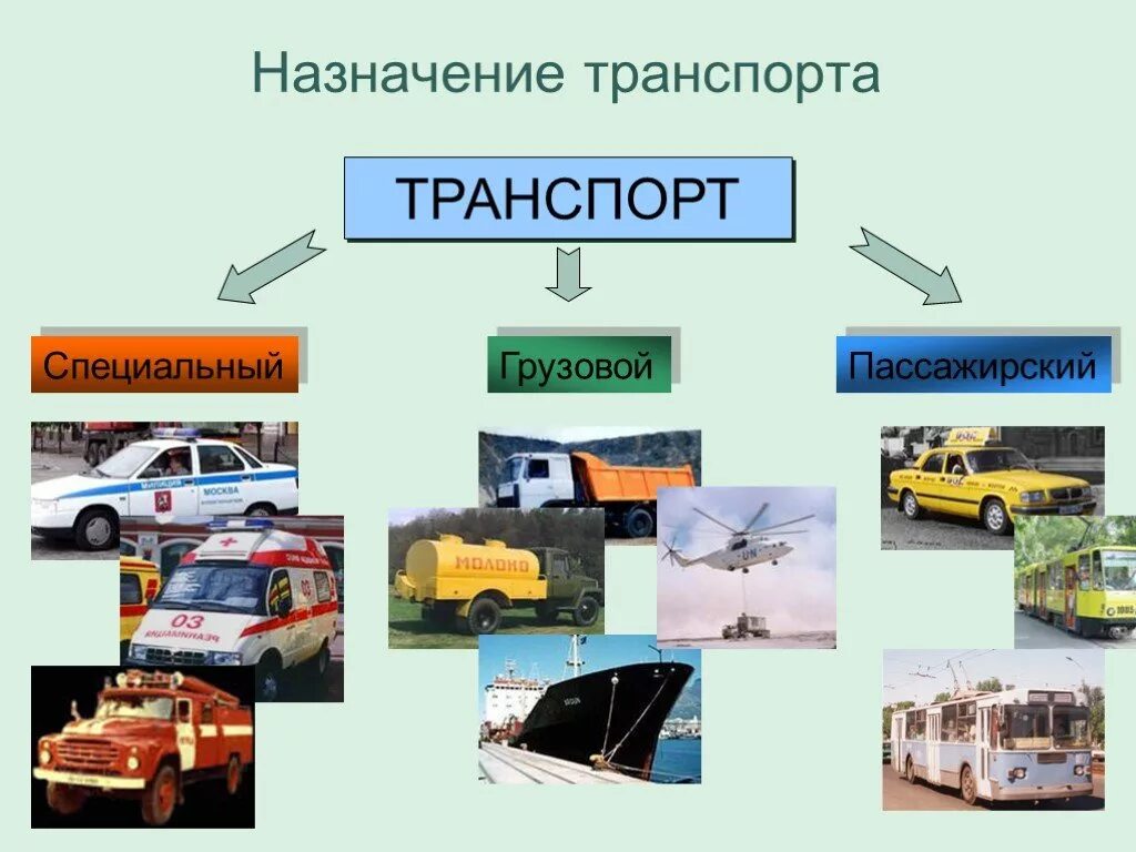 Окр мир транспорт. Транспорт по назначению. Транспорт пассажирский грузовой специальный. Виды транспорта по назначению. Отрасль экономики транспорт.