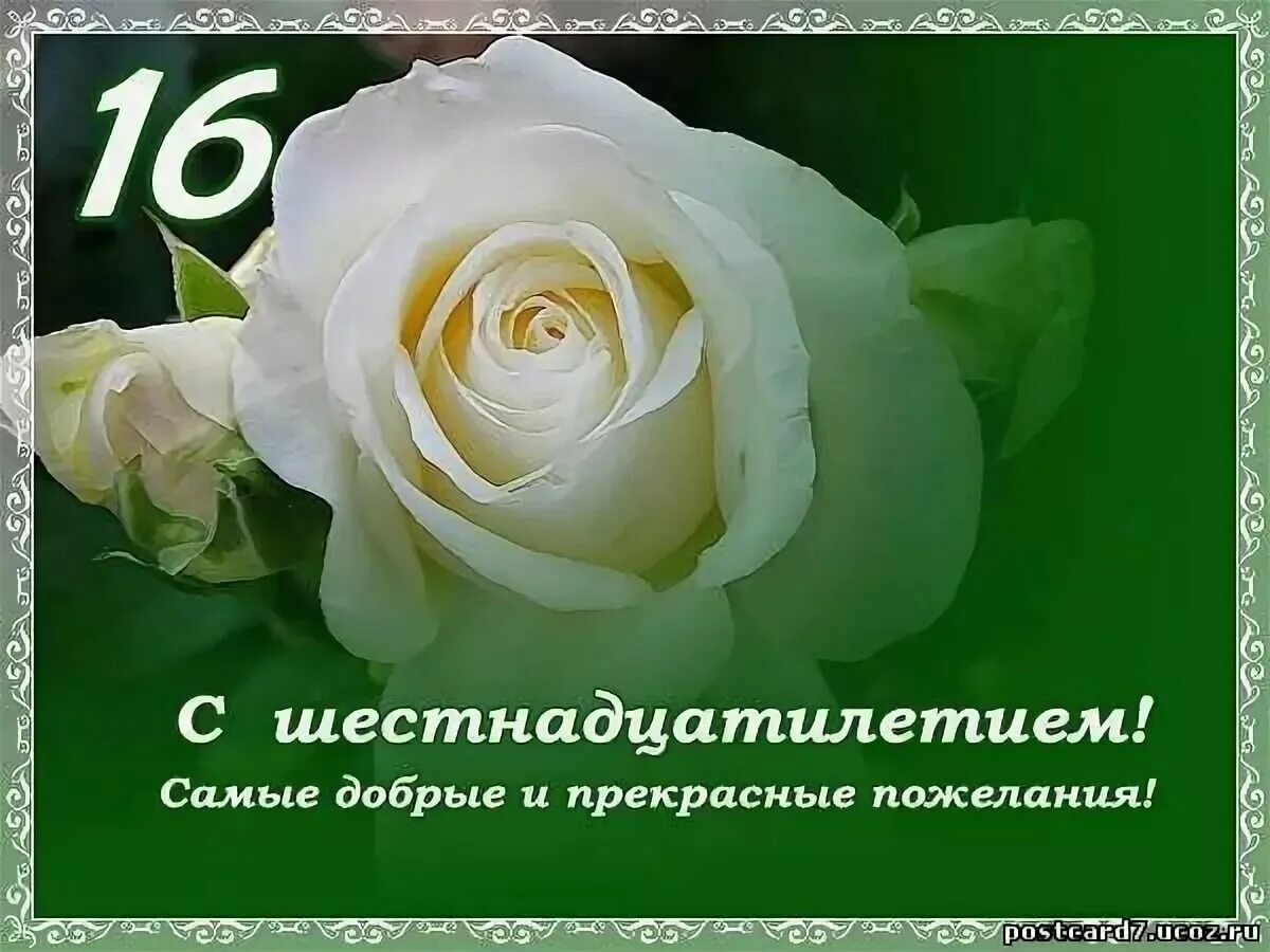 Стих поздравление с 16 летием. Поздравление с 16 летием. Поздравления с 16 летием девочке. Открытки с днём рождения 16 лет. Поздравления с днём рождения с 16 летием.